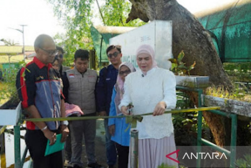 Wakil Wali Kota Banjarmasin Hj Ananda saat meresmikan pencanangan Kampung Hijau menjadi Kampung Inggris berbasis wisata, bekerjasama dengan BEM FKIK ULM Banjarmasin, Sabtu, 26 Juli 2025. ANTARA/HO-Humas Pemkot Banjarmasin