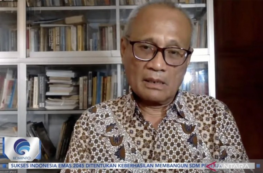 Pakar Ketenagakerjaan Universitas Gadjah Mada (UGM) Prof Dr Tadjuddin Noer Effendi (Foto: ANTARA)