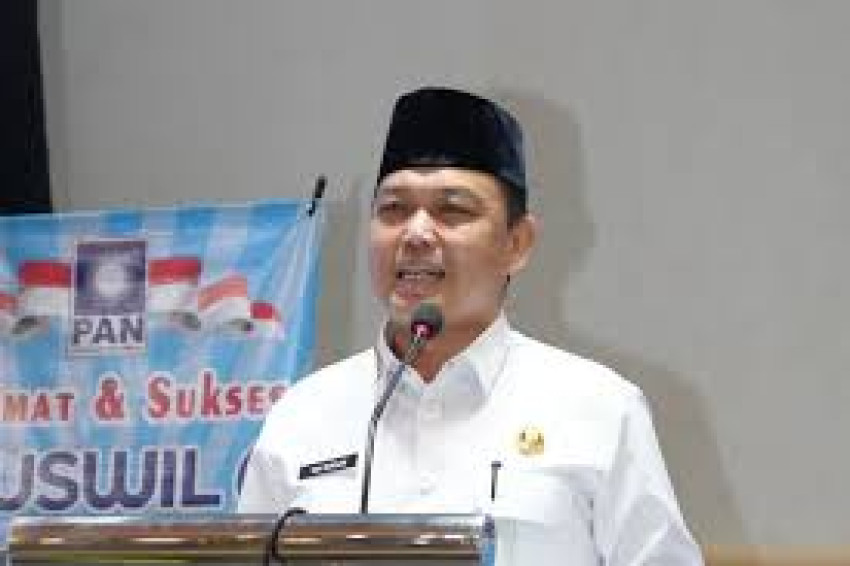 Gubernur Kalimantan Barat Ria Norsan. (Antara)