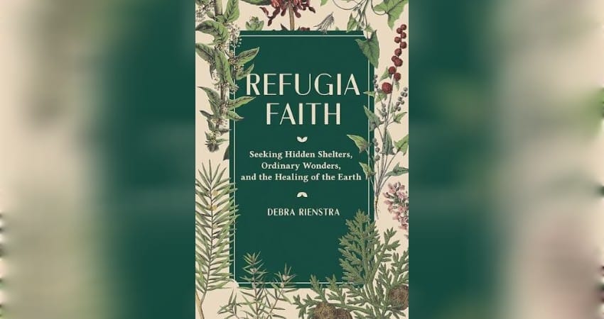 Sumber Gambar: Amazon.com