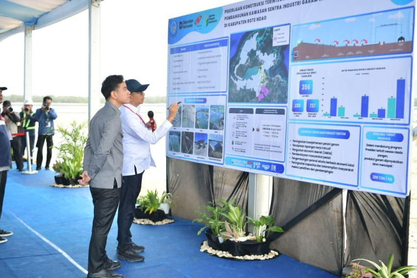 Tinjau Sentra Industri Garam Rote Ndao, Wapres Gibran Dorong Percepatan Swasembada dan Penguatan Ekonomi Pesisir